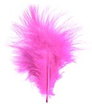 ES0002-E-0231 Marabou klein 7cm helroze 1/4 6g 20pcs per color
minimum package 80pcs
export carton 80pcs Marabou small bright pink Enkels Feathers