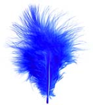 ES0002-E-0293 Marabou klein 7cm koningsblauw 1/4 6g 20pcs per color
minimum package 80pcs
export carton 80pcs Marabou small royal blue Enkels Feathers