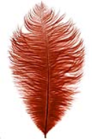 ES0011-K-7622 Drabs 30-35cm cognac per 25st 1pc per color
minimum package 6pcs
export carton 40pcs ES0011-K-7622
