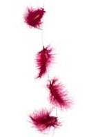 SE0012-H-0233 Garland with feathers, 220cm fuchsia  SE0012-H-0233