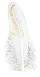 SE0067-Q-0871 Wedding feathers "glamour" 8pc/bag goud  Glamour-wedding-feather-gold-Enkels-Feathers