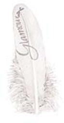 SE0067-Q-0877 Wedding feathers "glamour" 8pc/bag zilver  silver-wedding-feathers-glamour-Enkels-Feathers