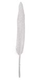 SE0183-Q-0001 Glam feather (13-15cm) 8pc/polybag wit 50pcs per color
minimum package 150pcs
export carton 600pcs SE0183-Q-0001