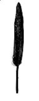SE0183-Q-0002 Glam feather (13-15cm) 8pc/polybag zwart  SE0183-Q-0002
