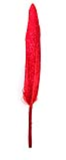 SE0183-Q-0485 Glam feather (13-15cm) 8pc/polybag rood  SE0183-Q-0485