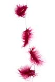 SE0012-H-0233 Garland with feathers, 220cm fuchsia  SE0012-H-0233